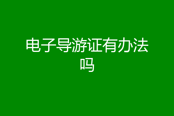 电子导游证有办法吗