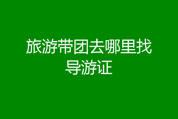 旅游带团去哪里找导游证
