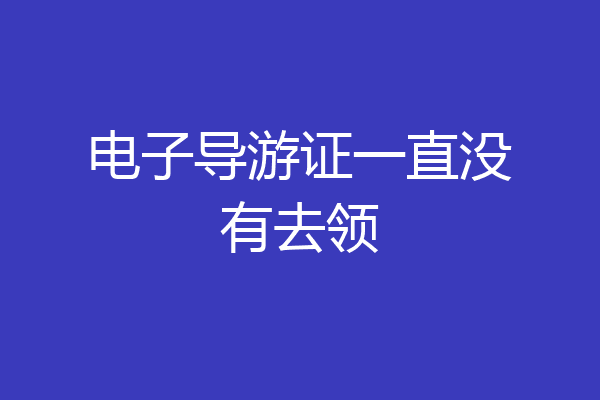 电子导游证一直没有去领