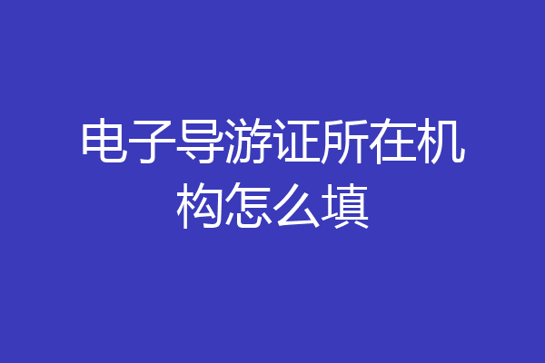 电子导游证所在机构怎么填
