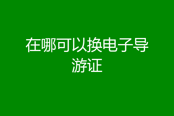 在哪可以换电子导游证