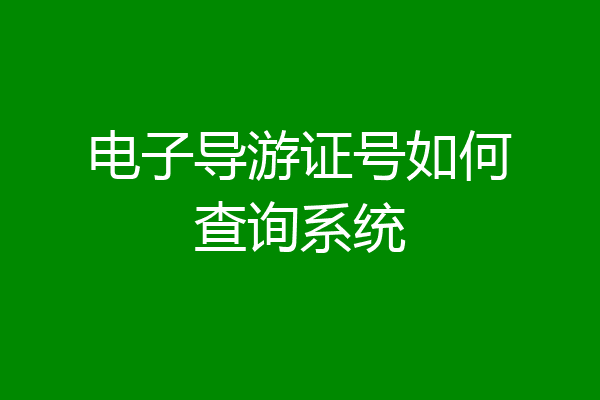 电子导游证号如何查询系统