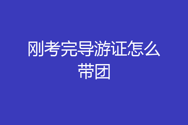 刚考完导游证怎么带团