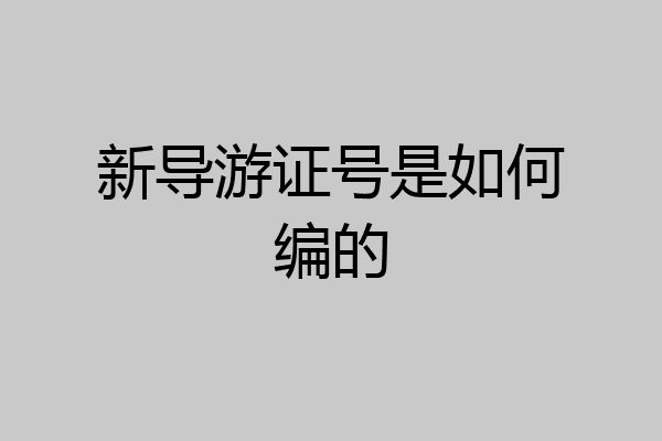 新导游证号是如何编的