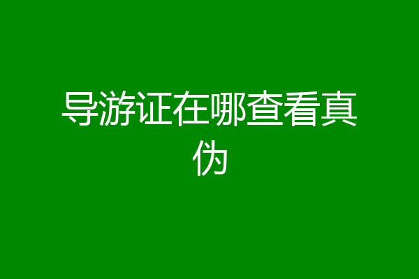 导游证在哪查看真伪