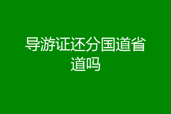 导游证还分国道省道吗