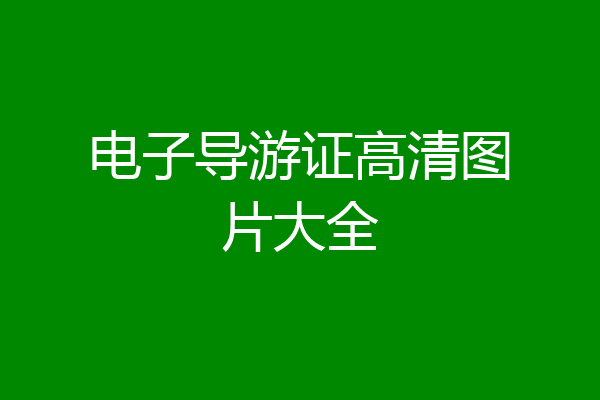 电子导游证高清图片大全