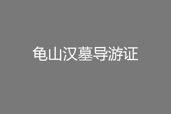 龟山汉墓导游证