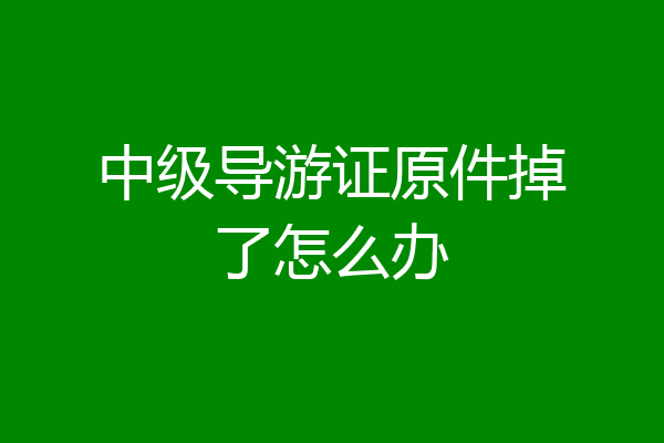 中级导游证原件掉了怎么办