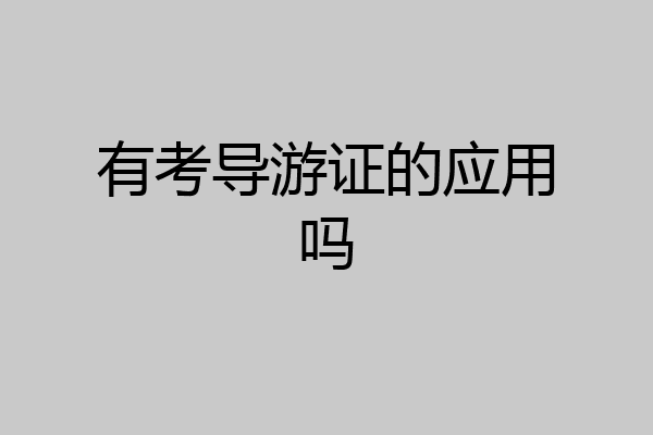 有考导游证的应用吗