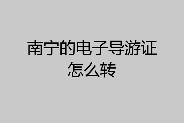 南宁的电子导游证怎么转