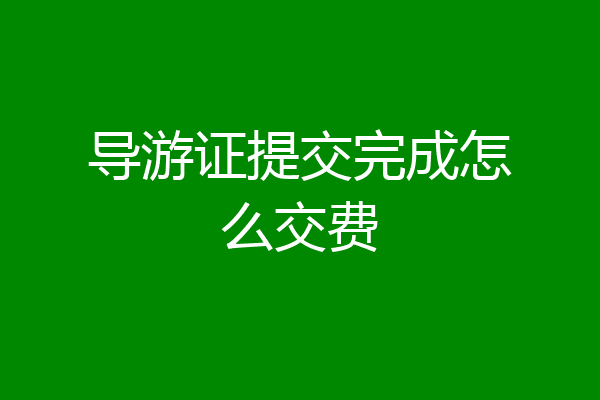 导游证提交完成怎么交费