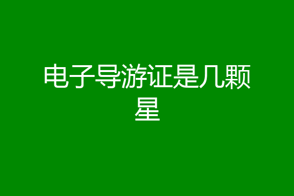 电子导游证是几颗星