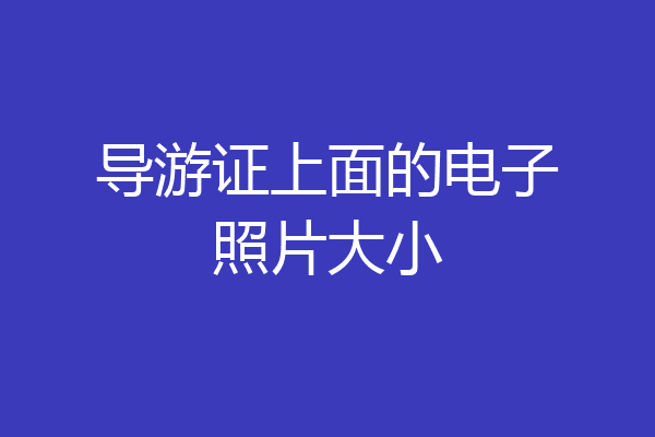 导游证上面的电子照片大小