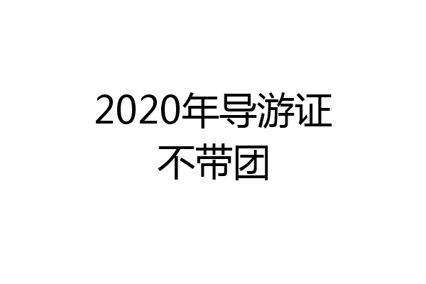 2020年导游证不带团