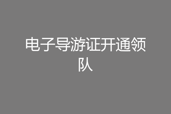 电子导游证开通领队