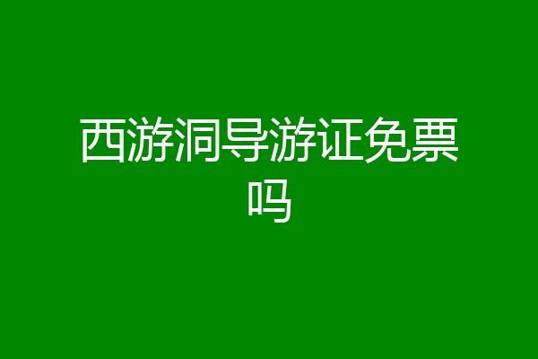西游洞导游证免票吗
