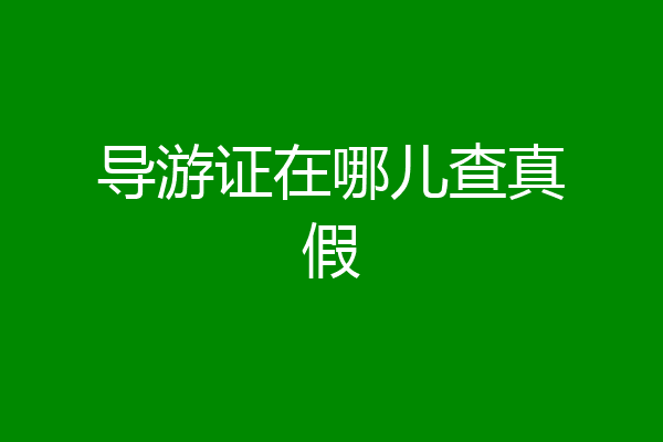导游证在哪儿查真假