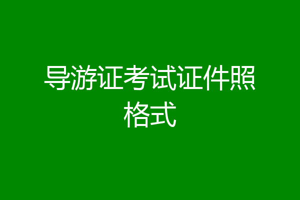 导游证考试证件照格式