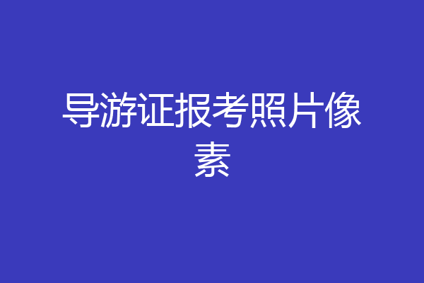 导游证报考照片像素
