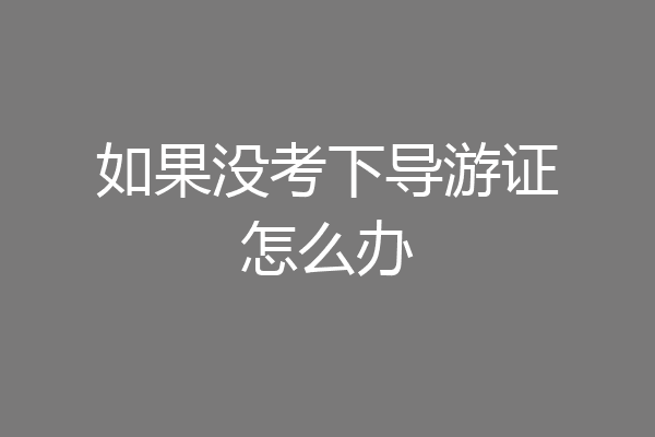 如果没考下导游证怎么办