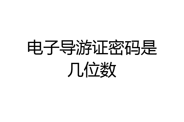 电子导游证密码是几位数