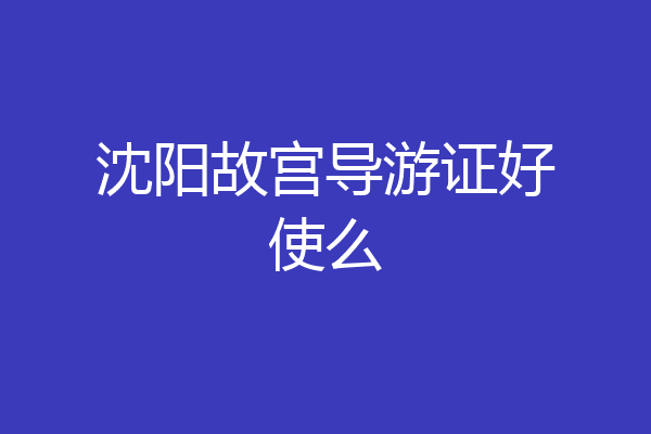 沈阳故宫导游证好使么
