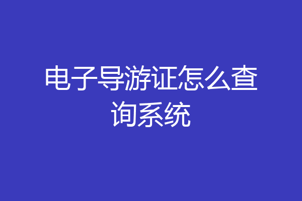 电子导游证怎么查询系统