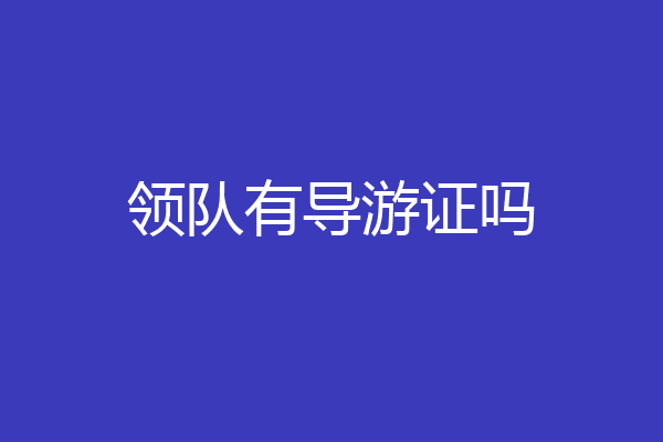 领队有导游证吗