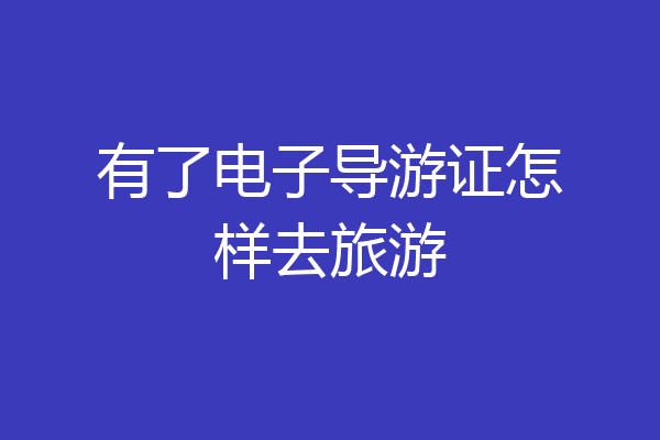 有了电子导游证怎样去旅游