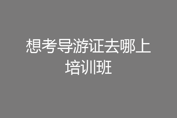 想考导游证去哪上培训班