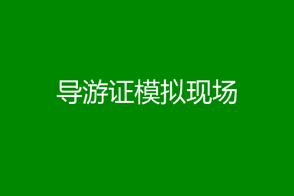 导游证模拟现场