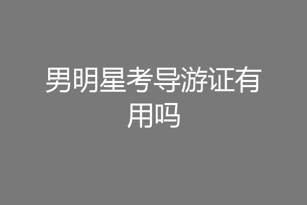 男明星考导游证有用吗