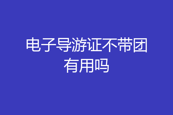 电子导游证不带团有用吗