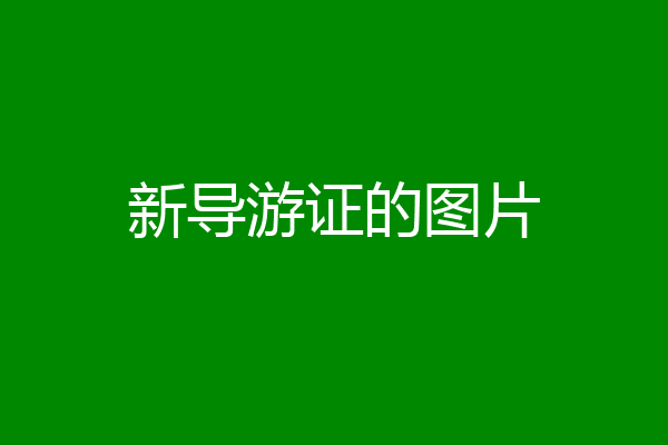 新导游证的图片