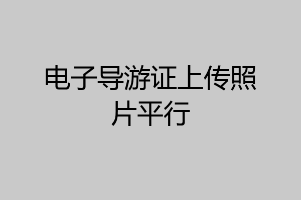 电子导游证上传照片平行
