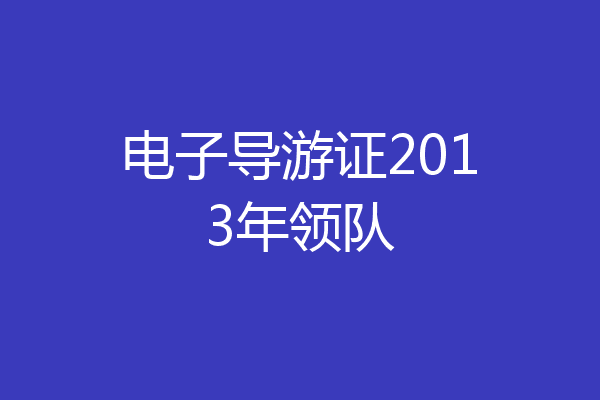 电子导游证2013年领队