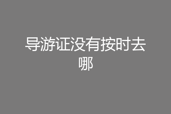 导游证没有按时去哪