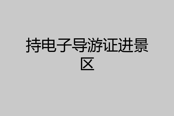 持电子导游证进景区