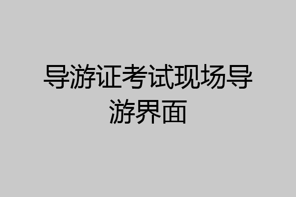 导游证考试现场导游界面