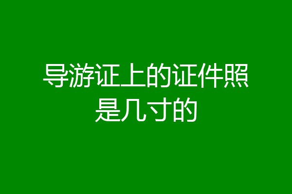 导游证上的证件照是几寸的