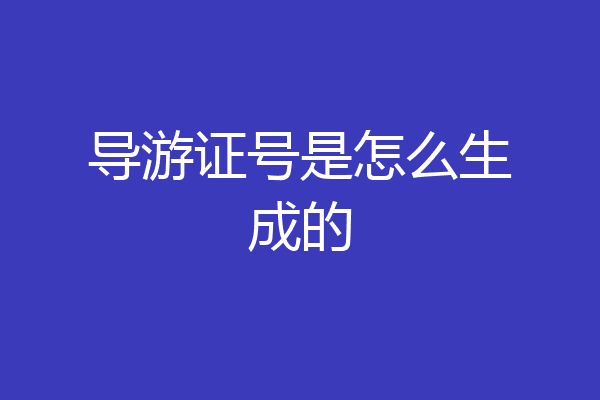 导游证号是怎么生成的