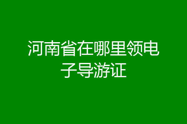 河南省在哪里领电子导游证