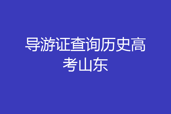 导游证查询历史高考山东