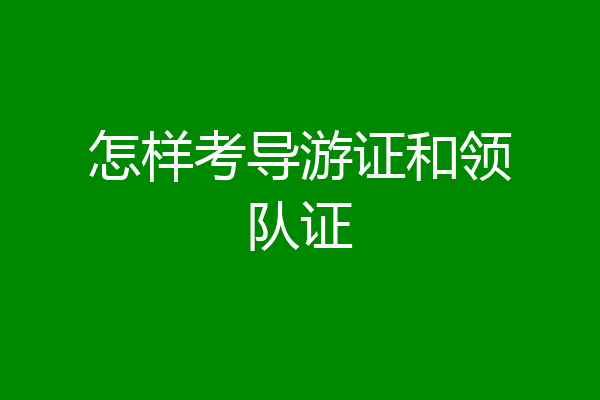 怎样考导游证和领队证