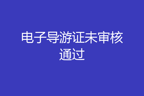 电子导游证未审核通过