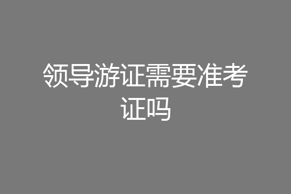 领导游证需要准考证吗