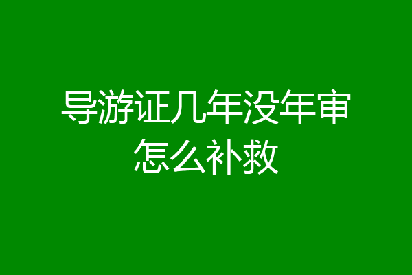 导游证几年没年审怎么补救