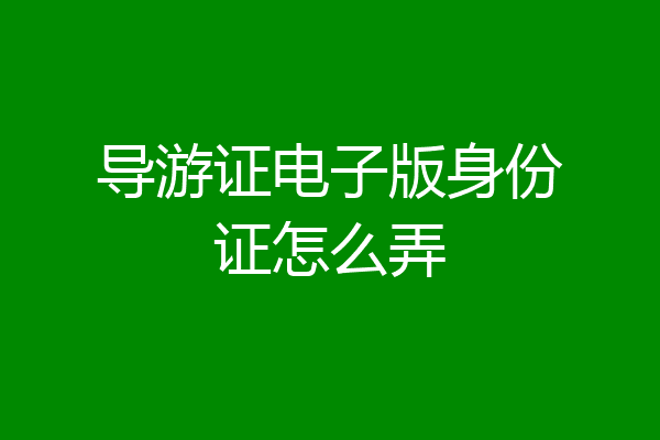导游证电子版身份证怎么弄