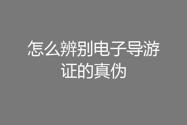 怎么辨别电子导游证的真伪